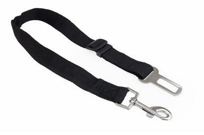 Car pet harness